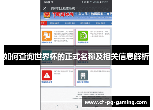 如何查询世界杯的正式名称及相关信息解析