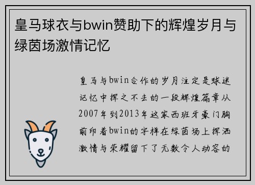 皇马球衣与bwin赞助下的辉煌岁月与绿茵场激情记忆