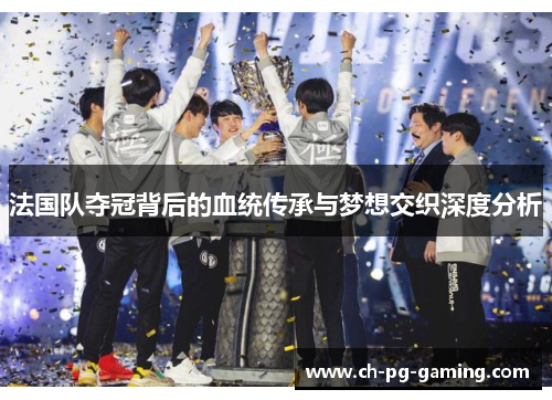 法国队夺冠背后的血统传承与梦想交织深度分析 法国队夺冠背后的血统传承与梦想交织深度分析