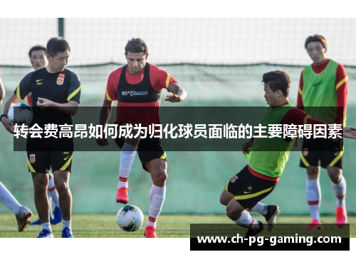 转会费高昂如何成为归化球员面临的主要障碍因素 转会费高昂如何成为归化球员面临的主要障碍因素